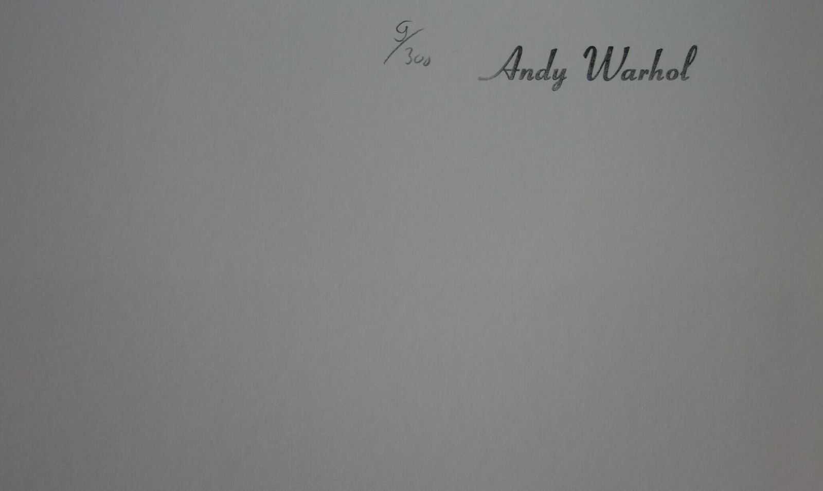 Fine Pop Art Limited Edition Print – Flowers, Andy Warhol, Stamp Signed & Numbered photo for sale