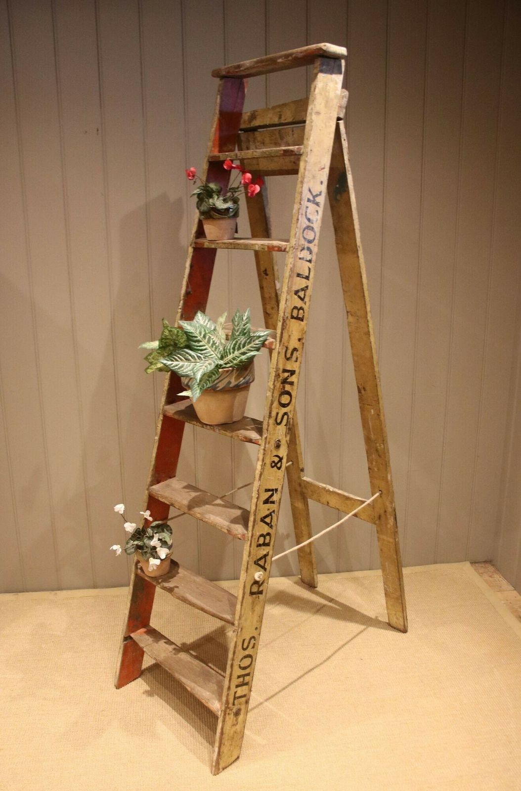 Set Of Rustic Ash Step Ladders photo for sale