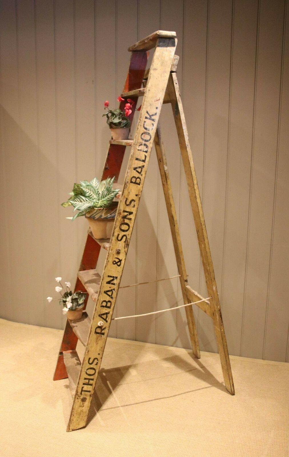 Set Of Rustic Ash Step Ladders photo vinterior