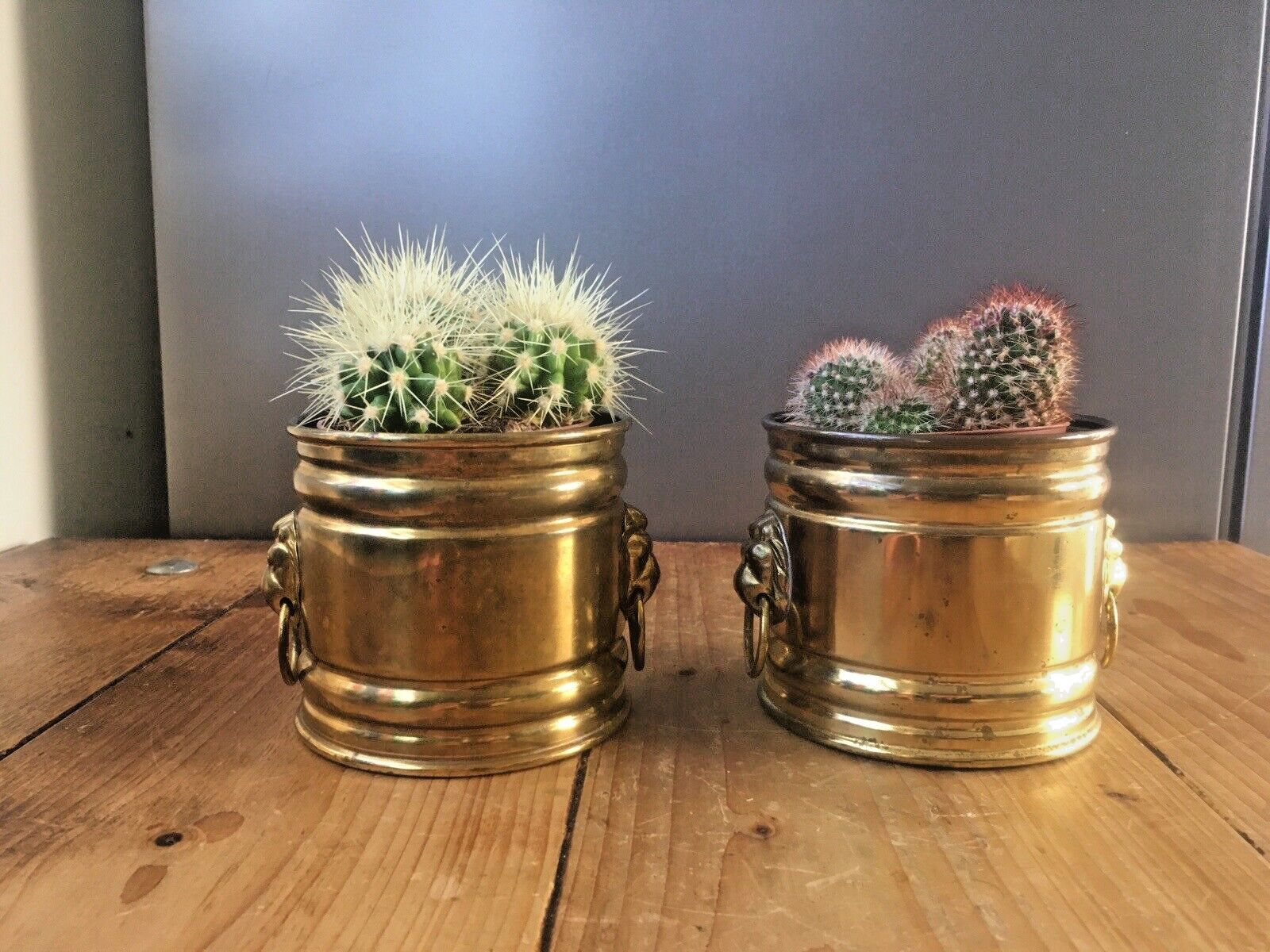 Pair Of Vintage Bates Brass Lions Head Handles Herb Cacti Planters Plant Pots