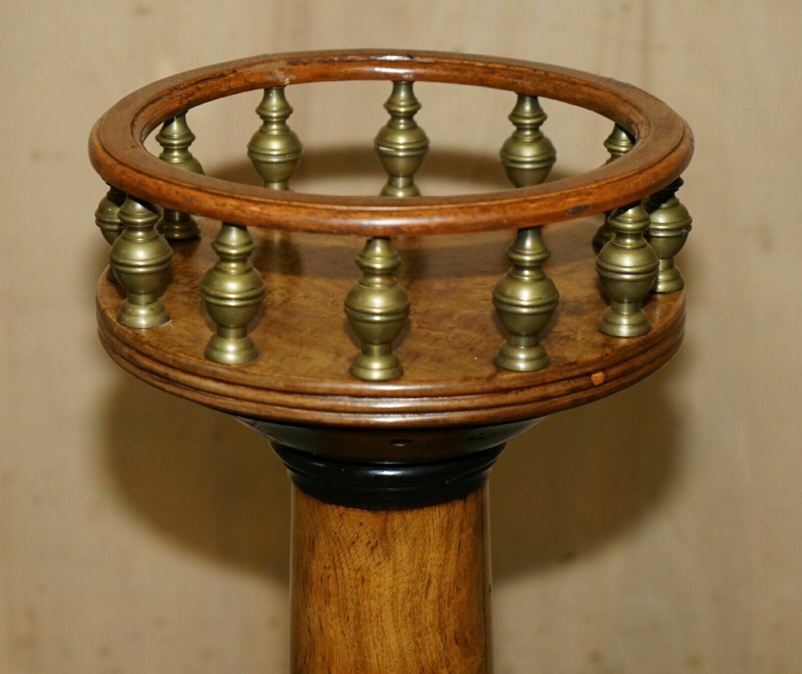 Fine Antique Victorian Burr Oak Ammonite Fossil Corinthian Pillar Pedestal Stand photo 3750.0