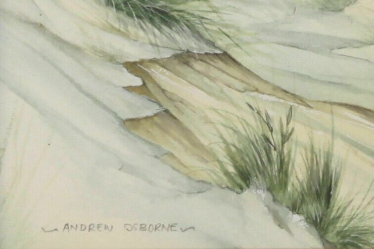 Watercolour Of A Rabbit By Andrew Osborne. photo for sale