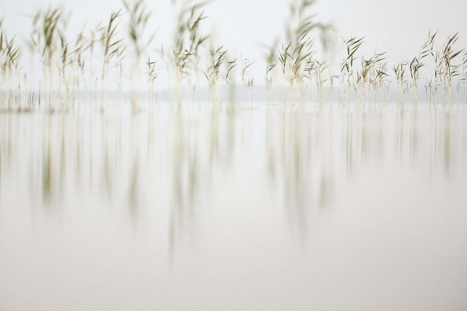 Jaume Llorens Deep Inside III #4 By Jaume Llorens   Nature Photography, Abstract Photography 2018