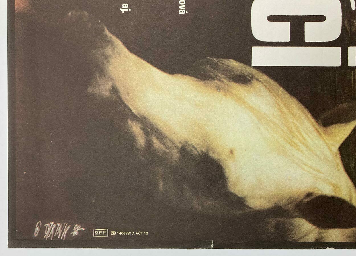 Movie Poster, Pilgrims, Martin Dyrynk, 1988 photo vinterior