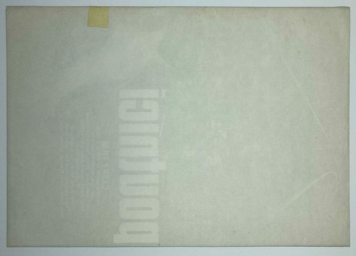 Movie Poster, Pilgrims, Martin Dyrynk, 1988 photo vintage