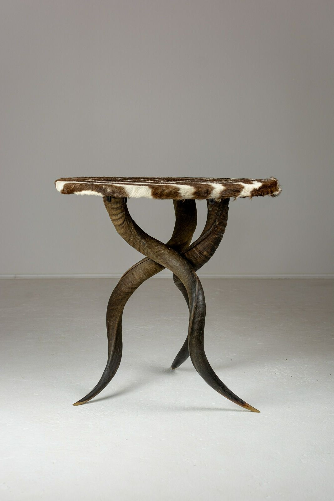 Rare Zebra Hide And Kudu Side Table. 20th Century Design. Unique End Table. Taxidermy photo buy