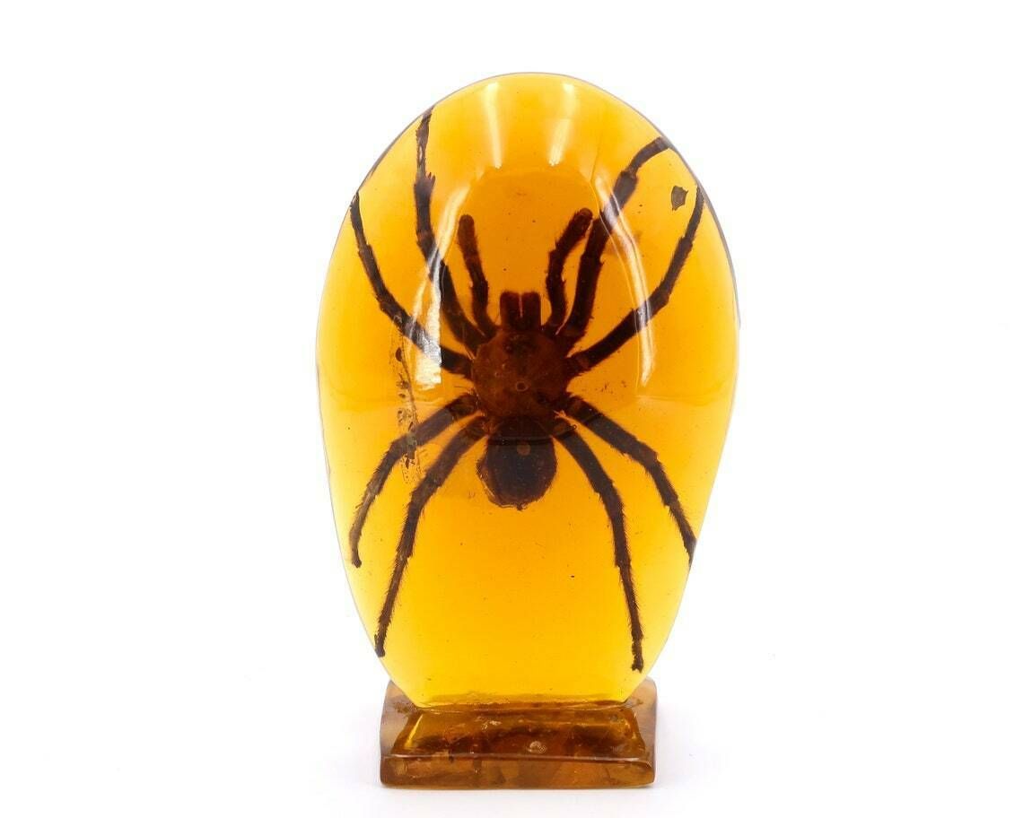 Resin Sculpture With Tarantula, 1970s / Cabinet Of Curiosity, Lucite, Spider, Inclusion, Pierre Giraudon, Insect, Paperweigth