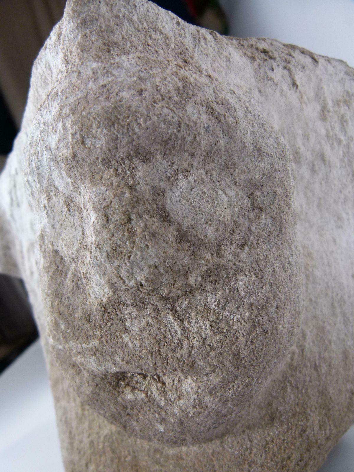 photo for sale Romanesque Hand Carved Limestone Capital From Spain