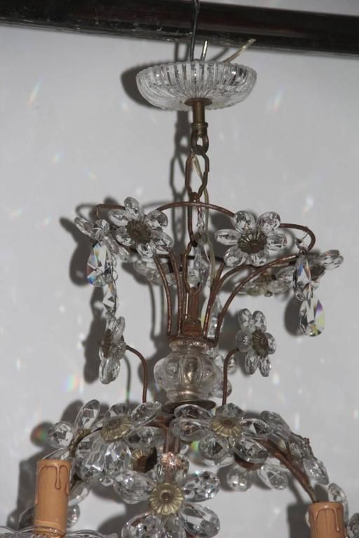Mid Century Modern Chandeliers French 1950s Crystal Metal Forged photo Lighting