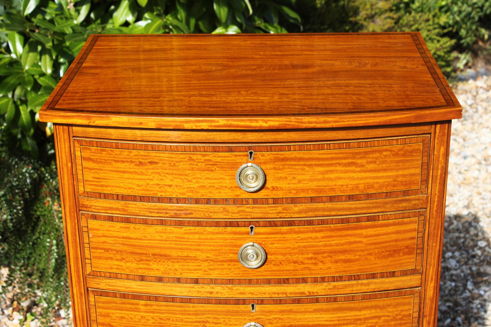 Sheraton Revival Satinwood Chest photo vinterior