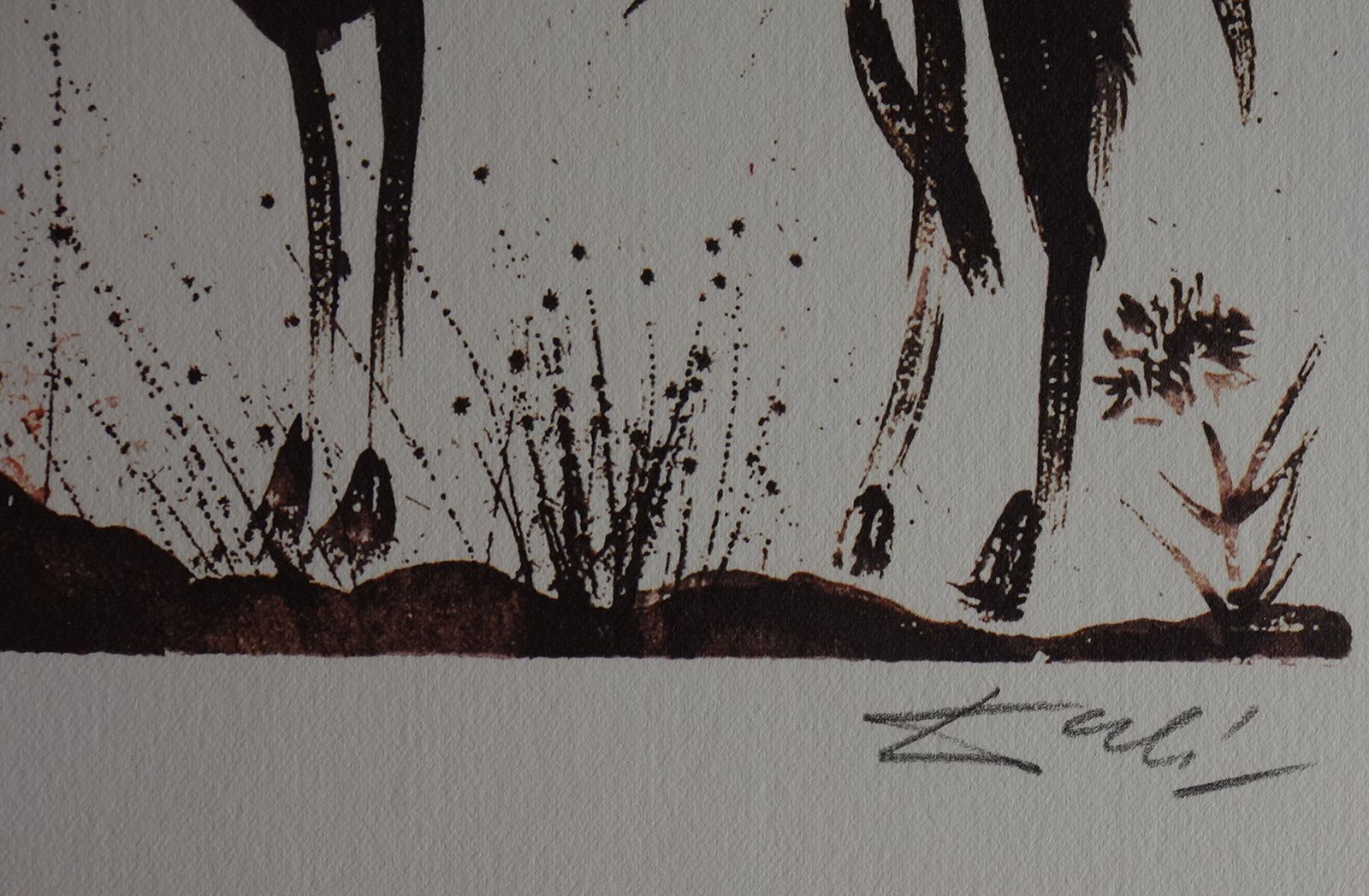 Fine Surrealist Limited Edition Print, Bull, Salvador Dali, Signed & Numbered In Pencil photo Art