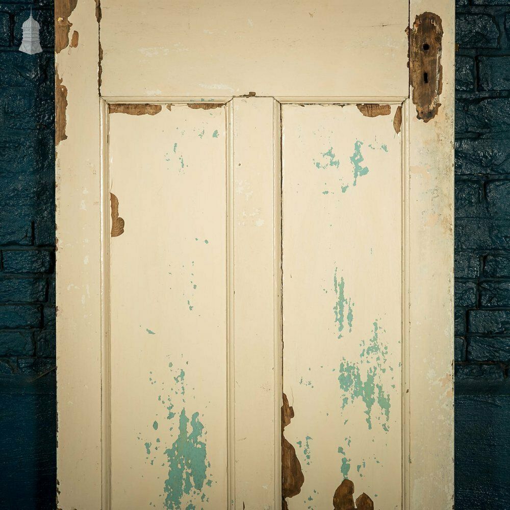 photo vinterior 1930’s Glazed Door, 6 Over 2 With Distressed Paint Finish