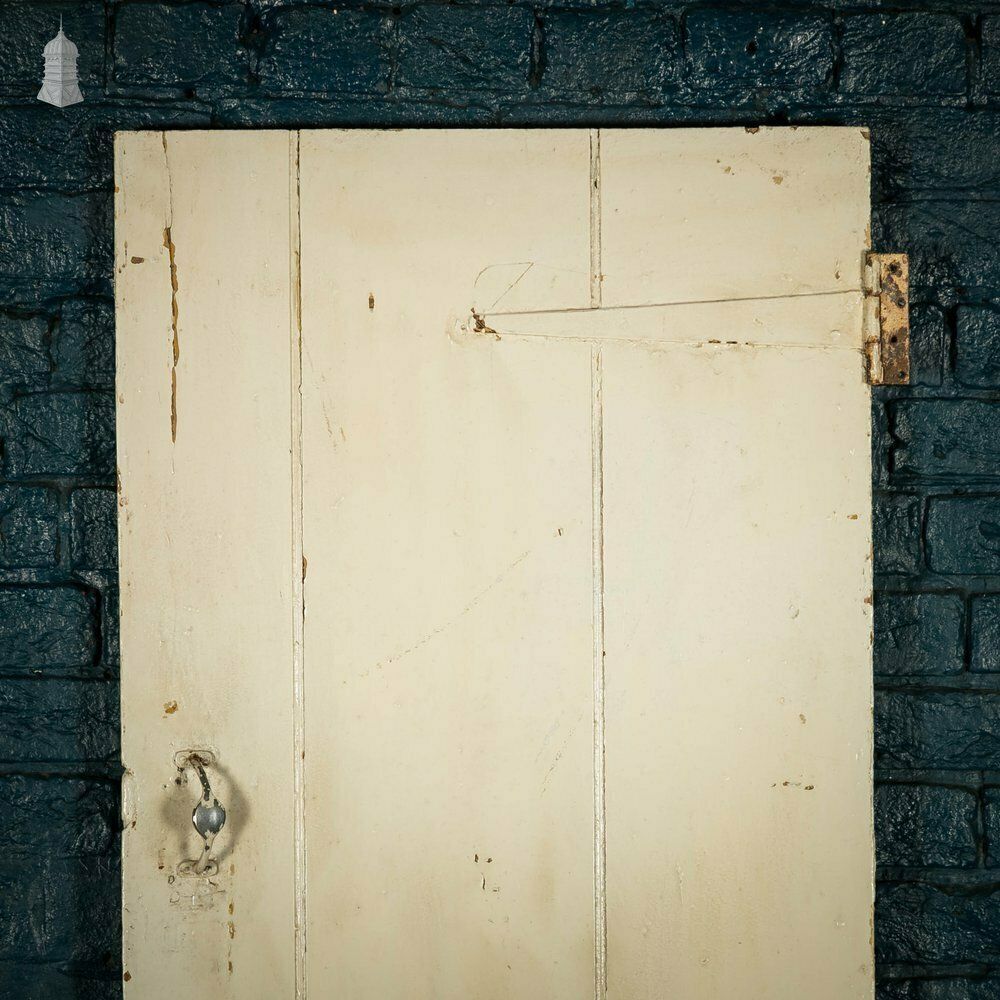 Plank & Ledge Door, Distressed Paint Finish, Strap Hinges photo furniture