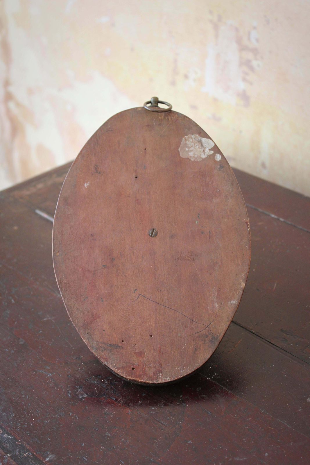 Home Decor 19th Century Early Victorian Tortoise Mount On Oak Oval Taxidermy Curio photo