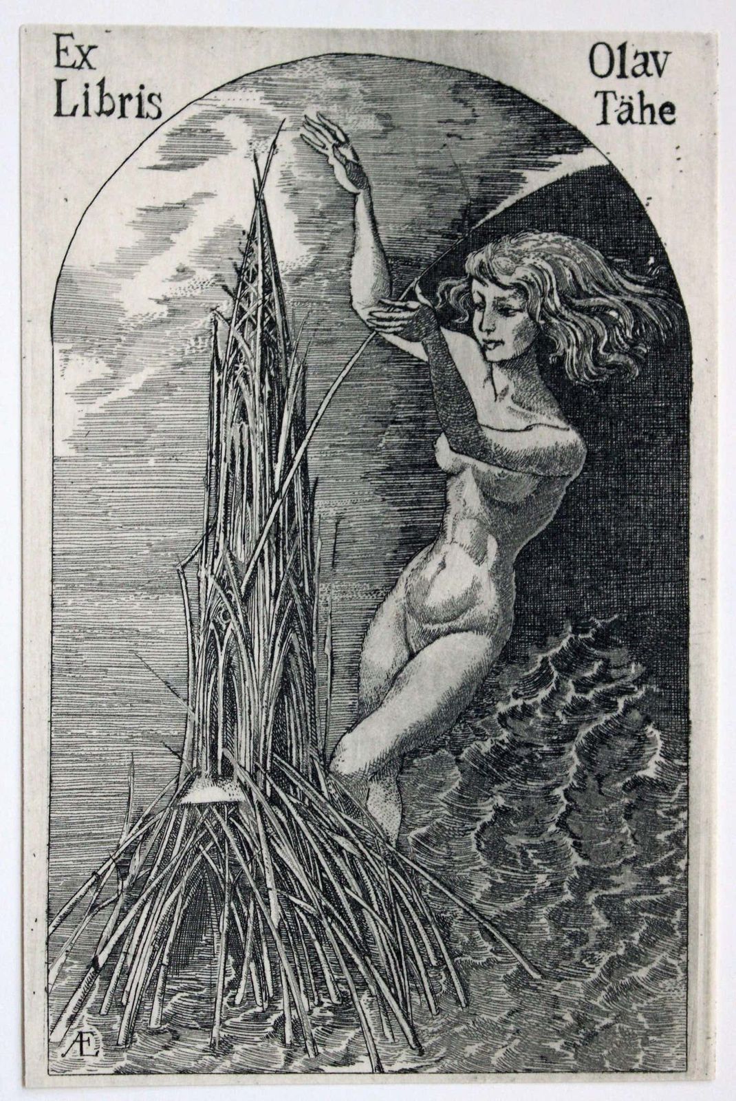 Jelena Antimonova Ex Libris. Paper, Woodcut.