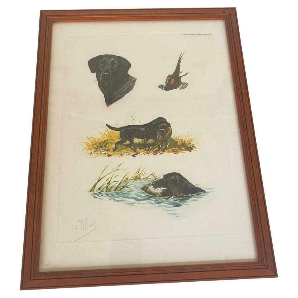 Engraving In Color Hunting Scenes With Animals Signed Boris Riabouchine 20th photo vinterior