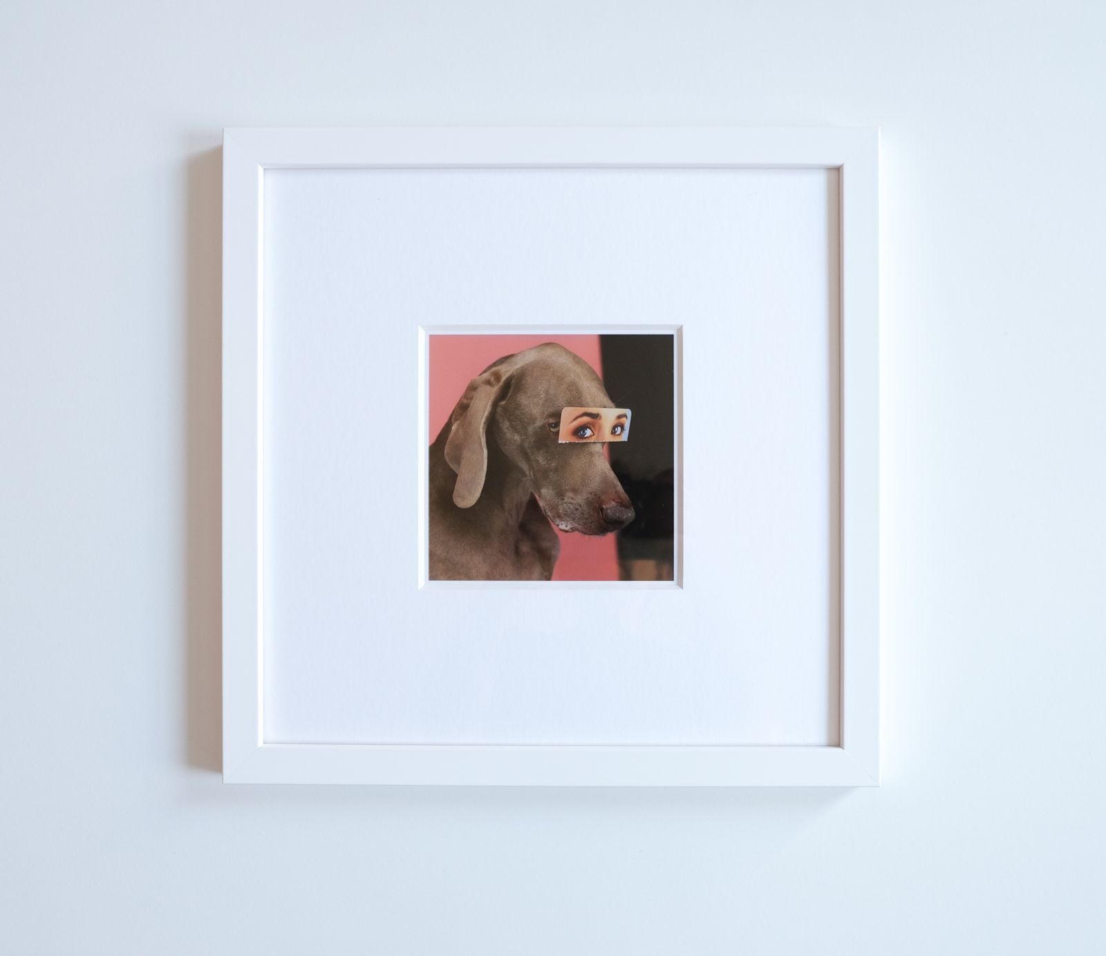 Signed & Framed William Wegman “False Eyes" Magnum Print, 2019 photo furniture