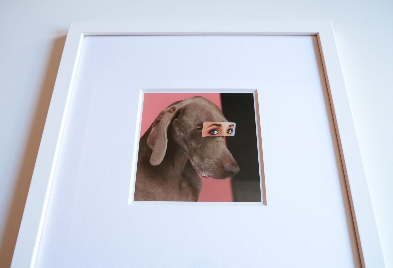 Signed & Framed William Wegman “False Eyes" Magnum Print, 2019 photo vinterior