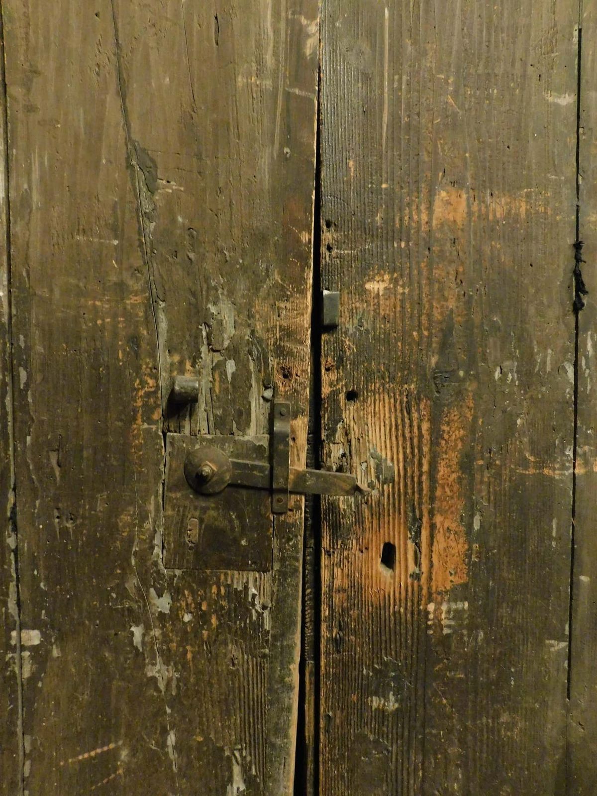 photo furniture Double Door In Rustic Larch Wood, Black Background And Painted Panels, Italy