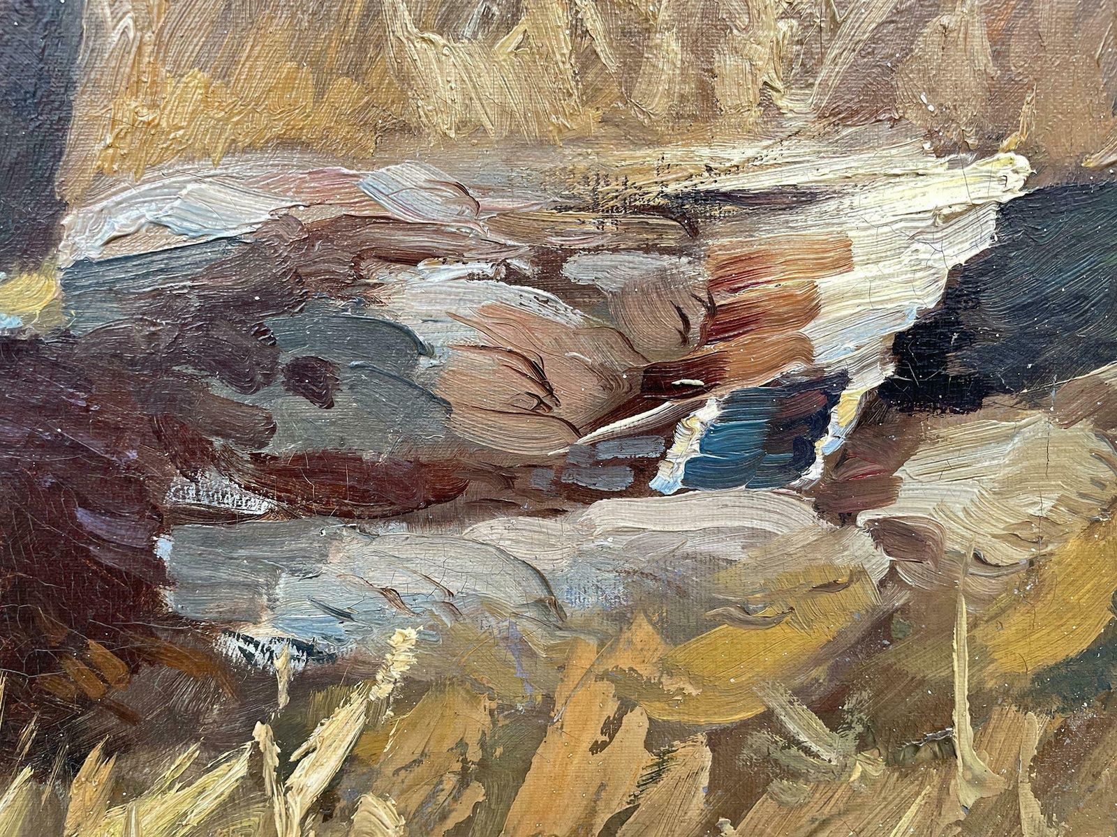 photo vintage Ducks Oil On Canvas Painting By Keller Kühne Josef Woldemar