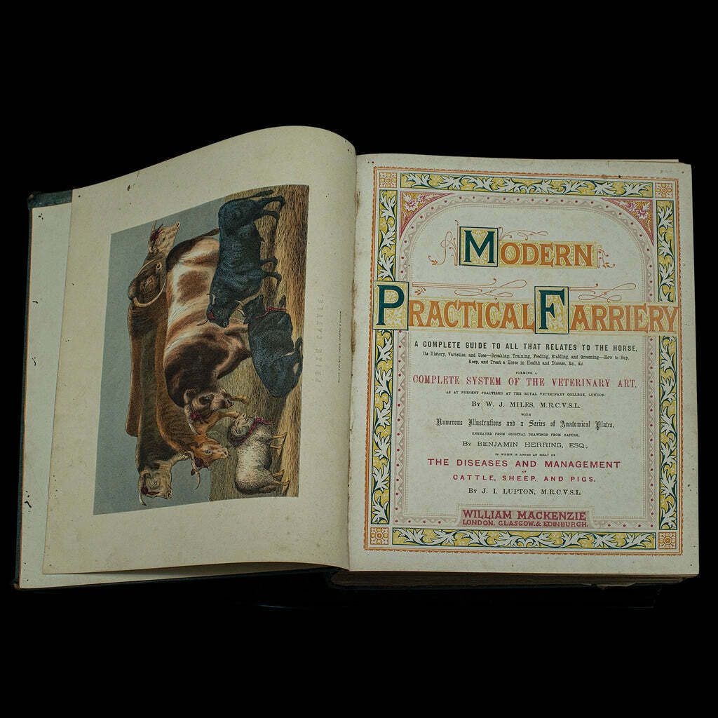 Large Antique Book, Modern Practical Farriery, Wj Miles, English, Circa 1900 photo Home Decor