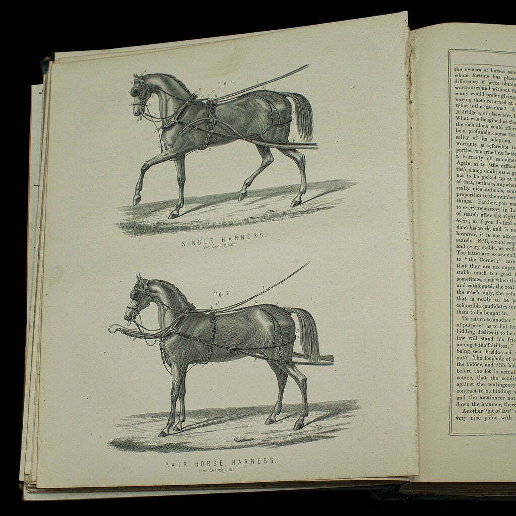 photo furniture Large Antique Book, Modern Practical Farriery, Wj Miles, English, Circa 1900