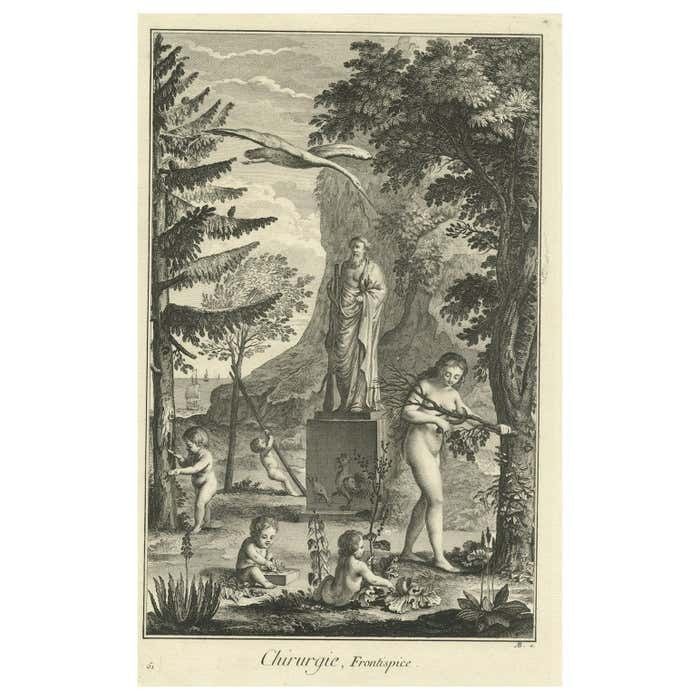 Allegory Of Surgery Engraving With Etching By B. L. Prevost, 1779