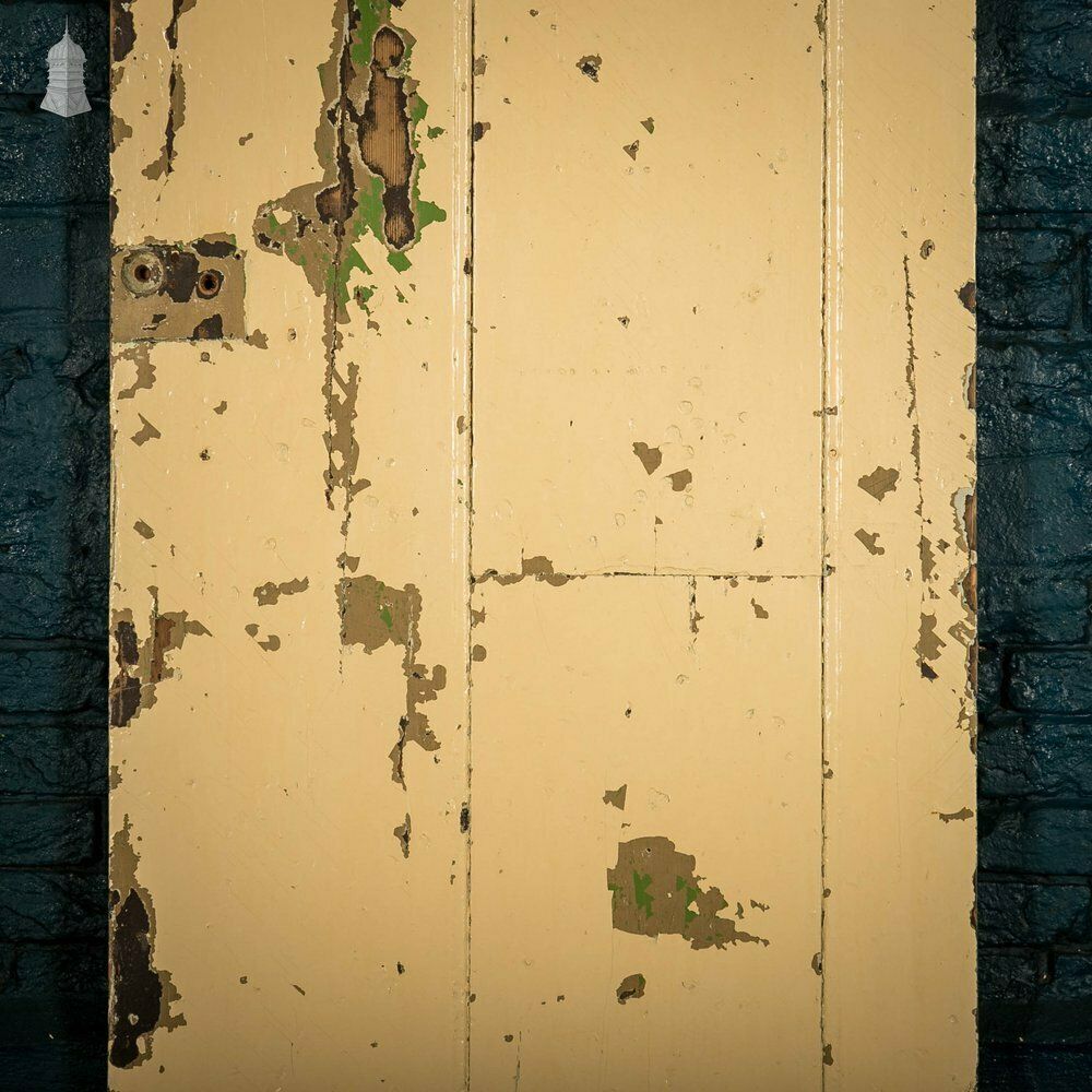 Ledged Plank Door, Distressed Painted Finish photo for sale