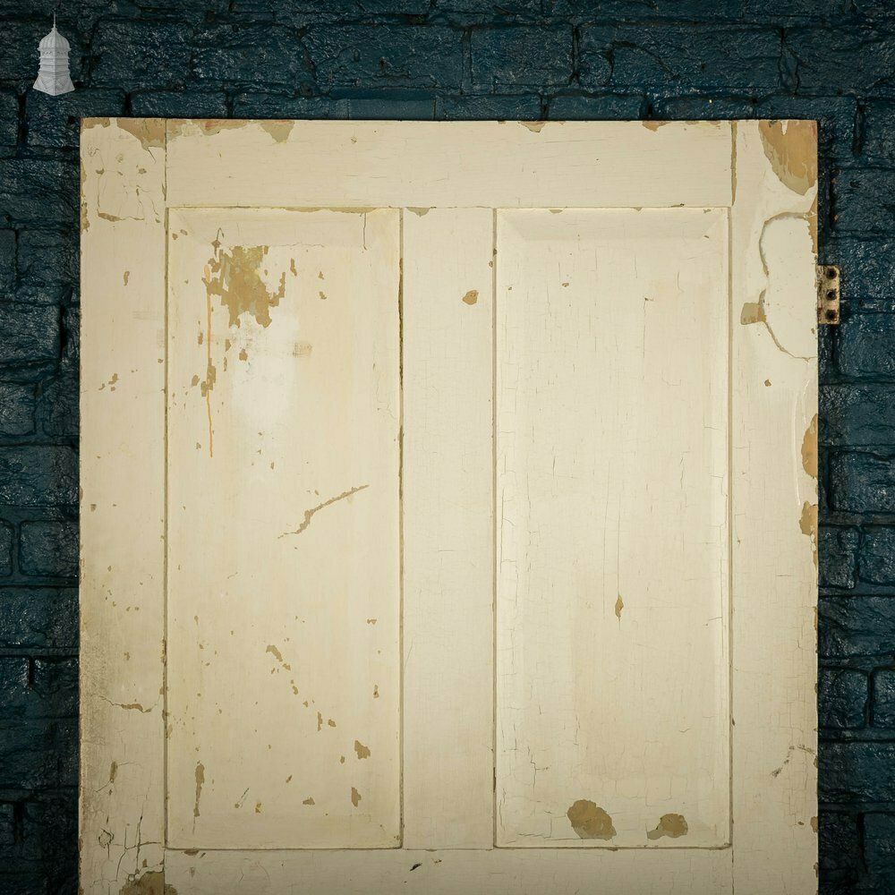 Pine Panelled Door, 4 Raised Panel White Painted photo furniture