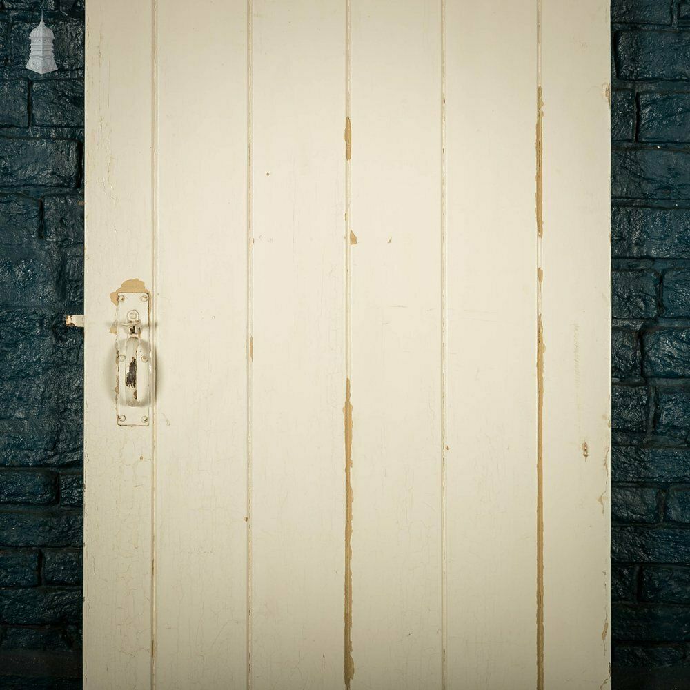 Ledged Plank Door, White Painted photo for sale