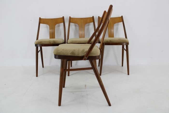 photo for sale 1950s Set Of Four Restored Dining Chairs In Walnut, Czechoslovakia