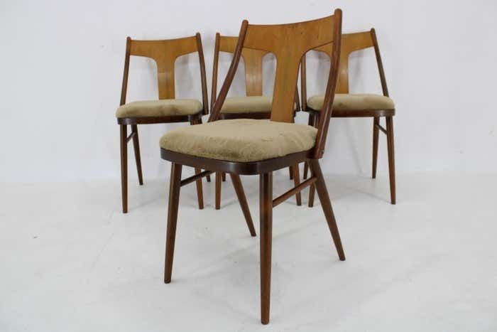 Furniture 1950s Set Of Four Restored Dining Chairs In Walnut, Czechoslovakia photo