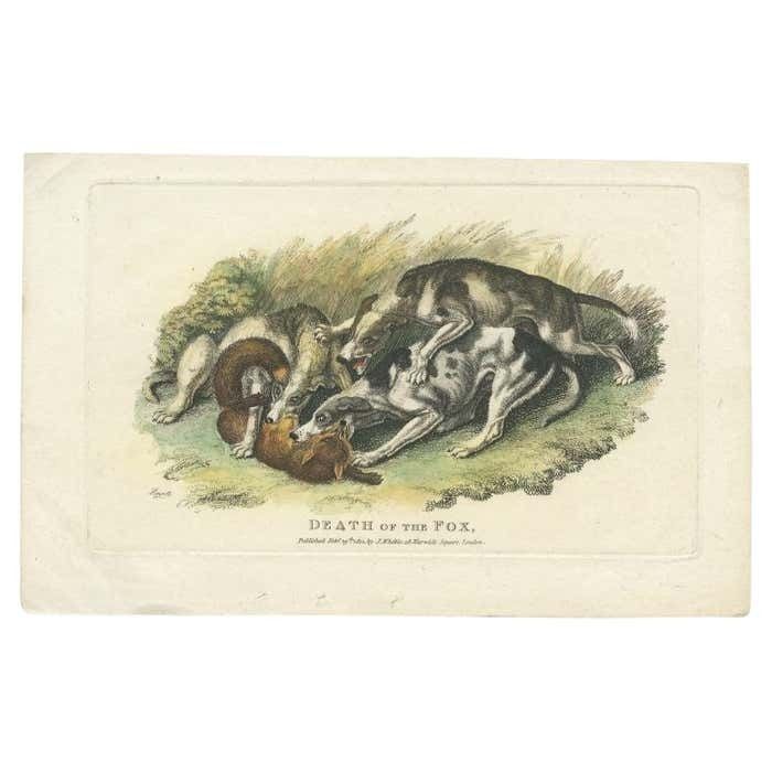 Antique Print Of A Dog And Death Of A Fox By Howitt, 1812