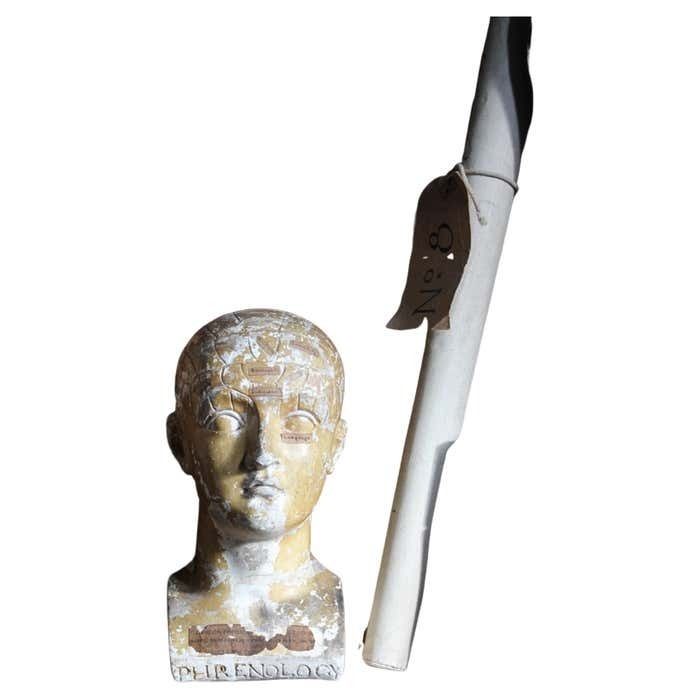 19th C Scientific James Deville L N Fowler Phrenology Plaster Bust Head Curi