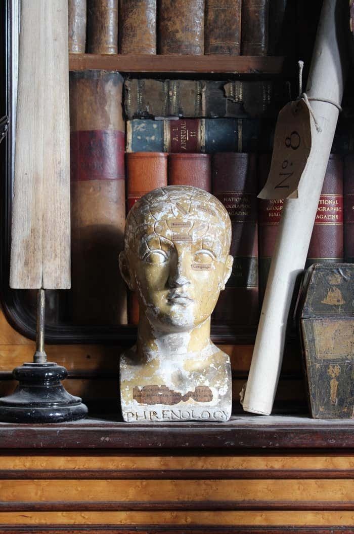 19th C Scientific James Deville L N Fowler Phrenology Plaster Bust Head Curi photo for sale