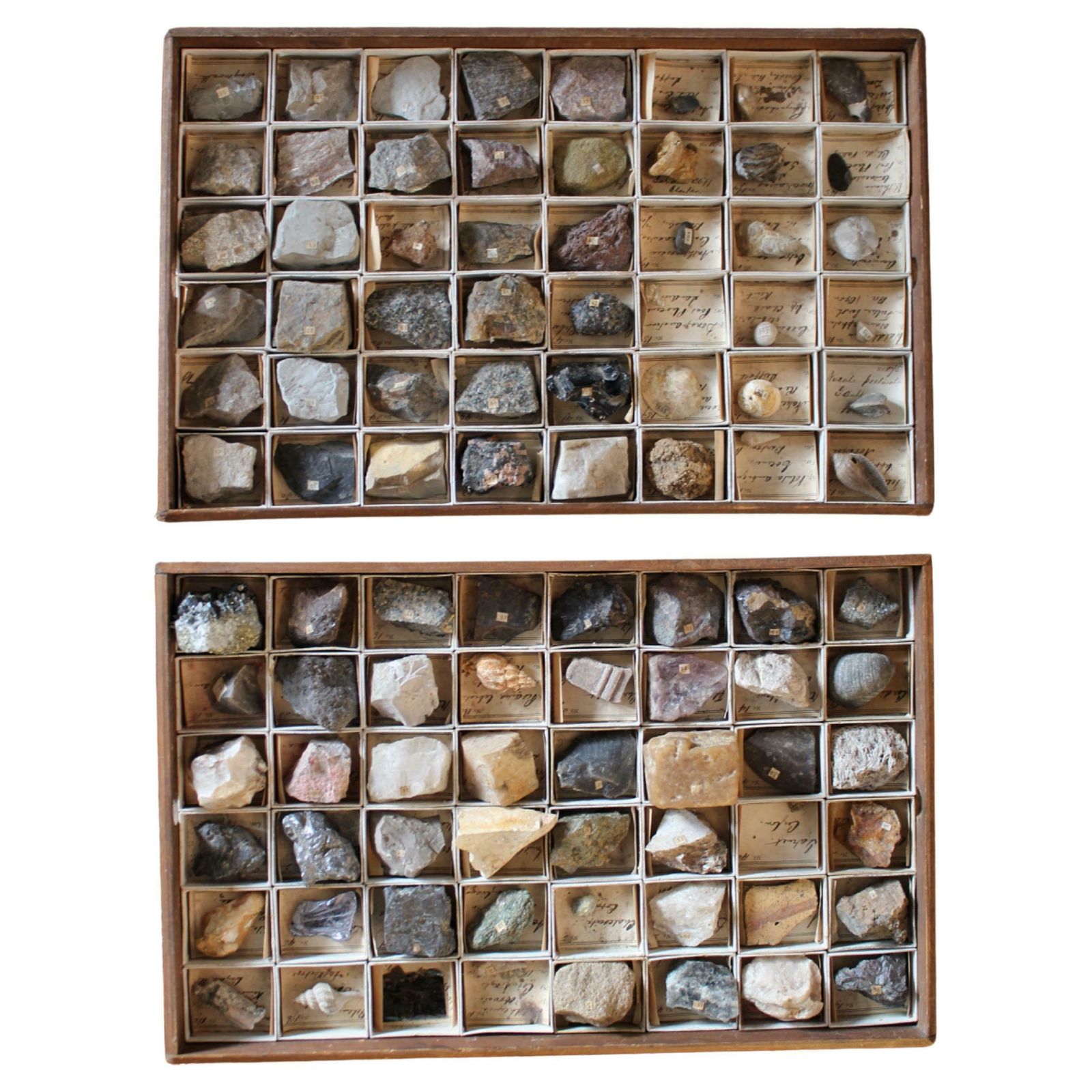 Late 19th C Gregory Bottley Scientific Collection Of Mineral Fossils Shell