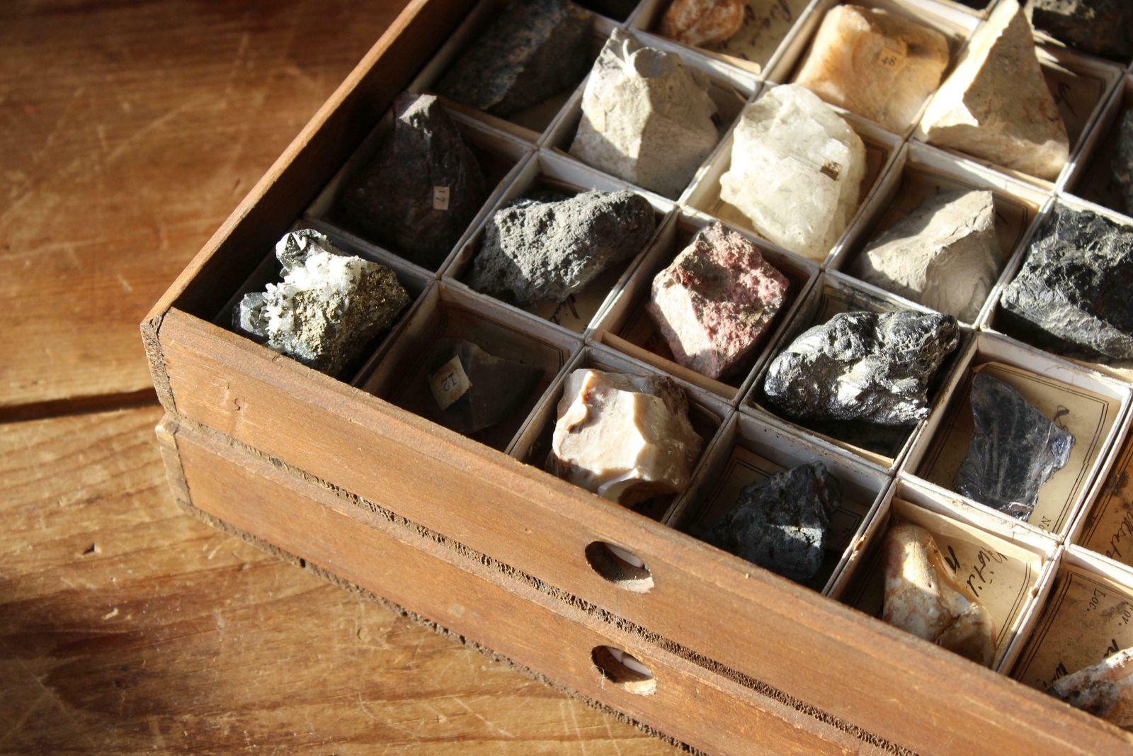 Late 19th C Gregory Bottley Scientific Collection Of Mineral Fossils Shell photo vintage
