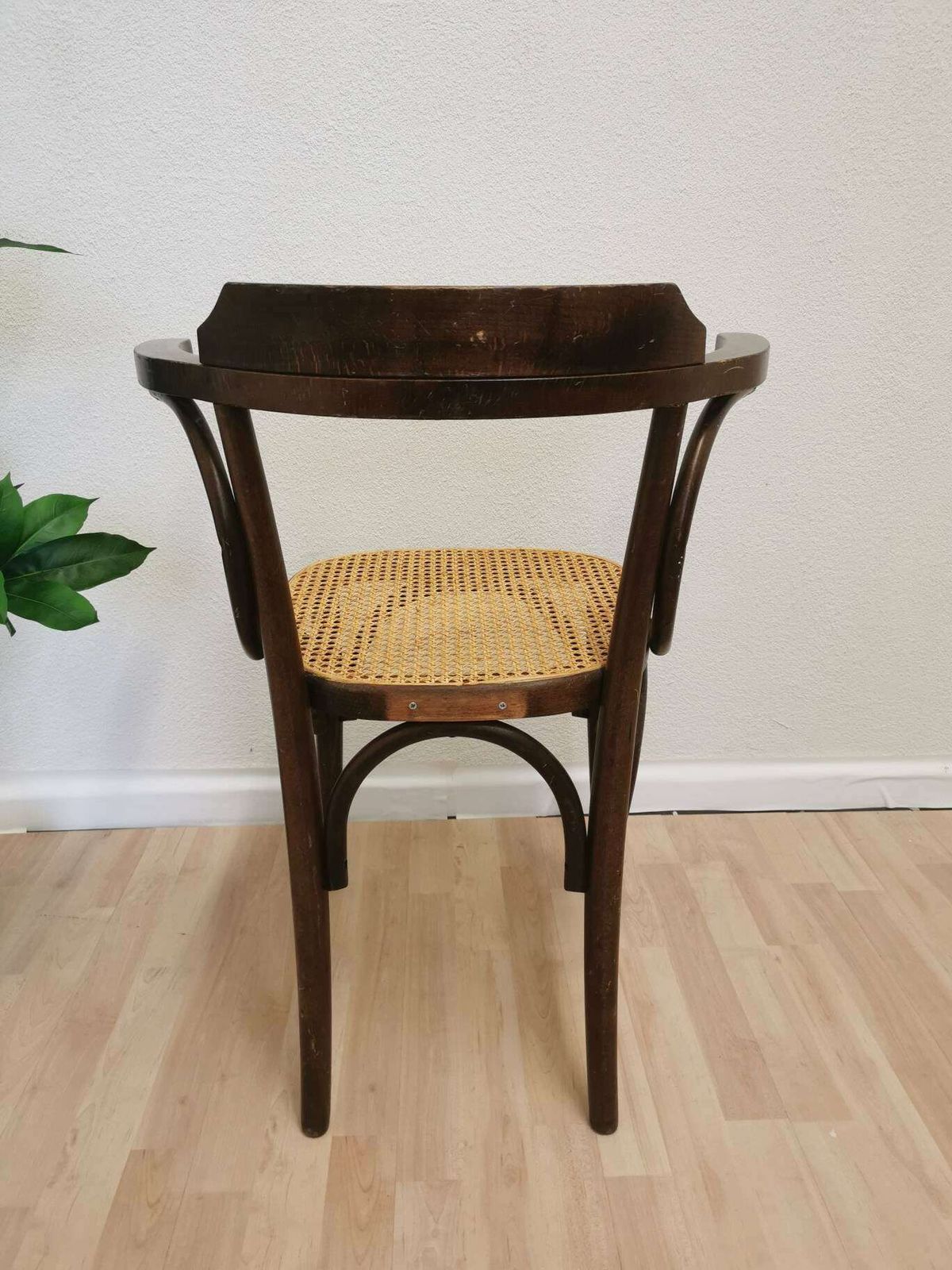 photo furniture Vintage Wooden Dining Chair With Cane Seat In Thonet Sytle / Mid Century Dine Chair Made With Bentwood Technique / 1970s Interior Irish Pubi