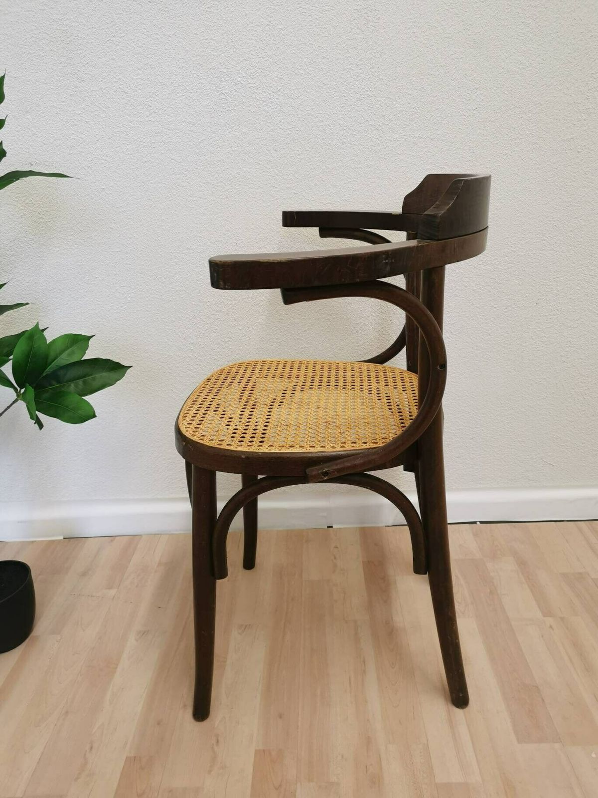 Vintage Wooden Dining Chair With Cane Seat In Thonet Sytle / Mid Century Dine Chair Made With Bentwood Technique / 1970s Interior Irish Pubi