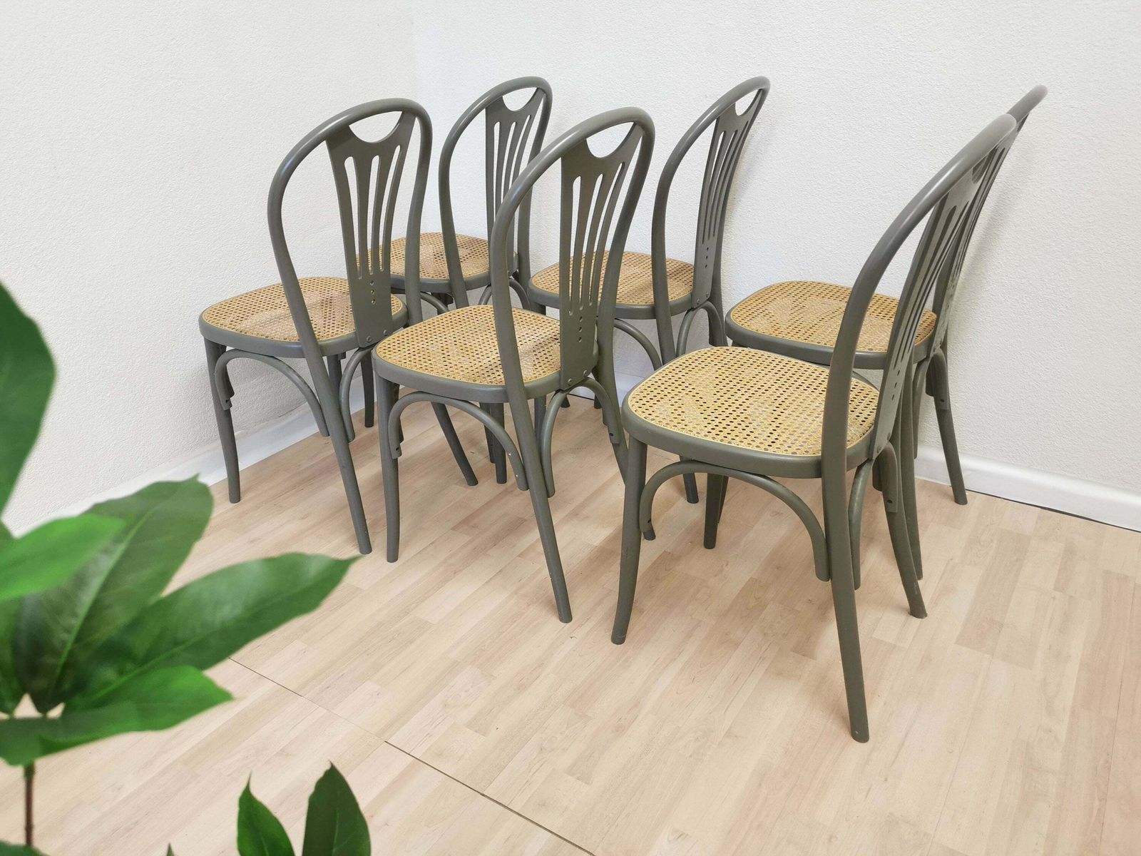 Set Of 6 Vintage Gray Bentwood Dining Chair: Thonet Style Cane Seat photo Furniture