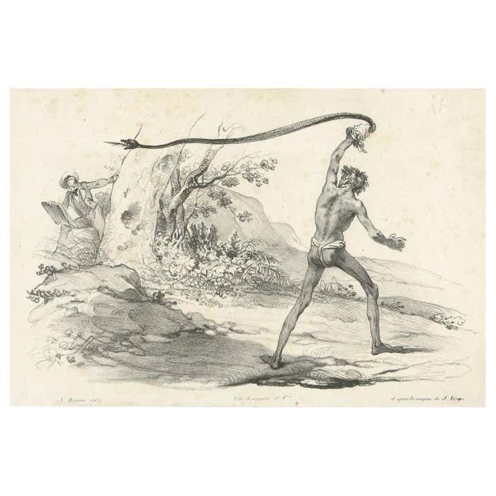 Antique Print Of The Encounter With A Black Snake
