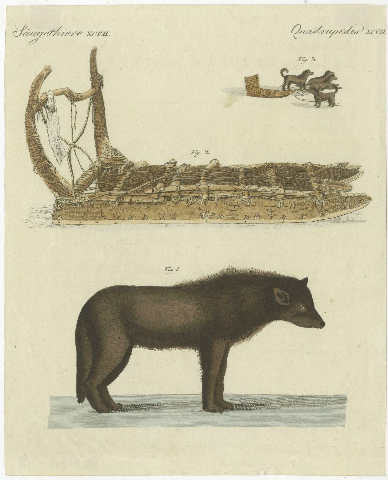 Antique Print Of A Dog From Baffin Bay Greenland And A Dog Sled photo for sale