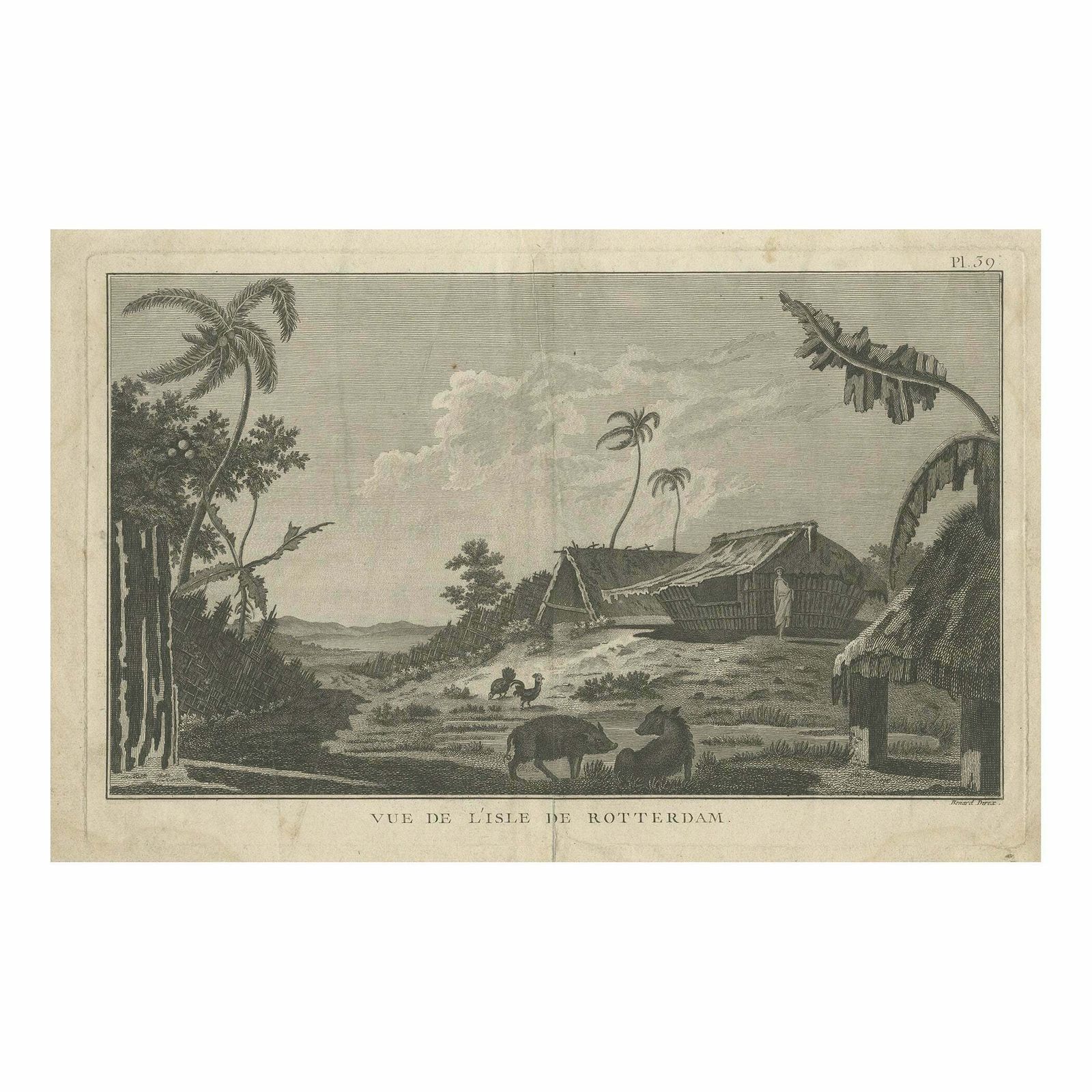 Antique Print Of Rotterdam Island, Nomuka, Tonga