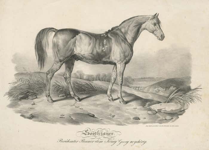 Antique Print Of Race Horse 'Soothsayer', Belonging To King George IV photo for sale