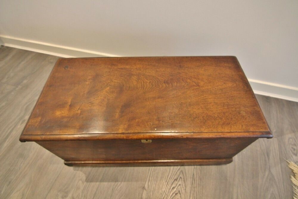 Superb Late Georgian Camphorwood Sloped Sailors Chest / Box photo for sale