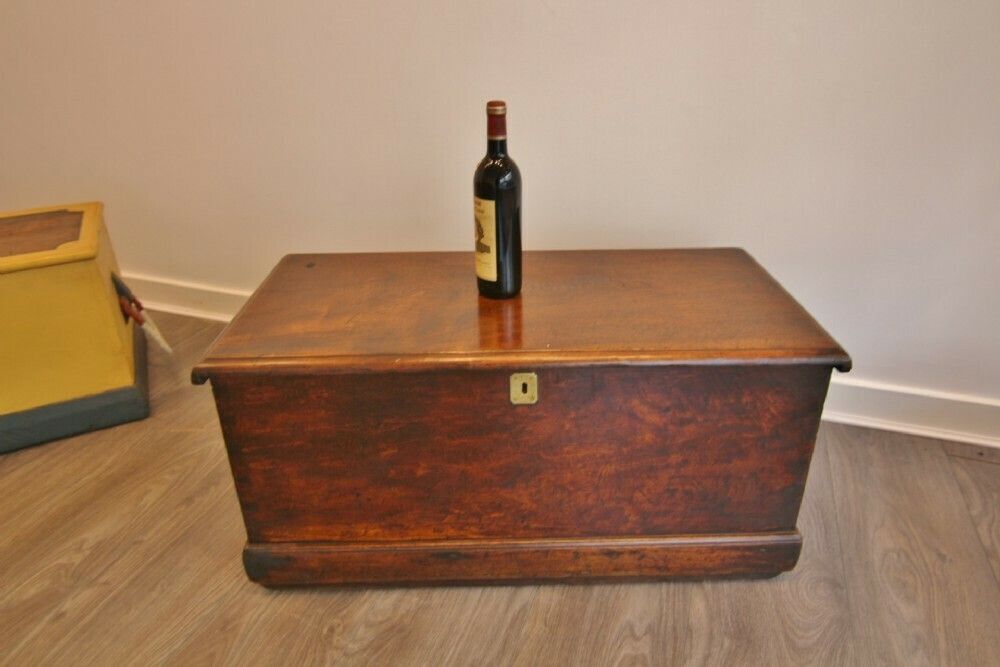Superb Late Georgian Camphorwood Sloped Sailors Chest / Box photo vinterior