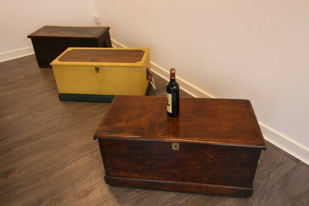 Superb Late Georgian Camphorwood Sloped Sailors Chest / Box photo buy