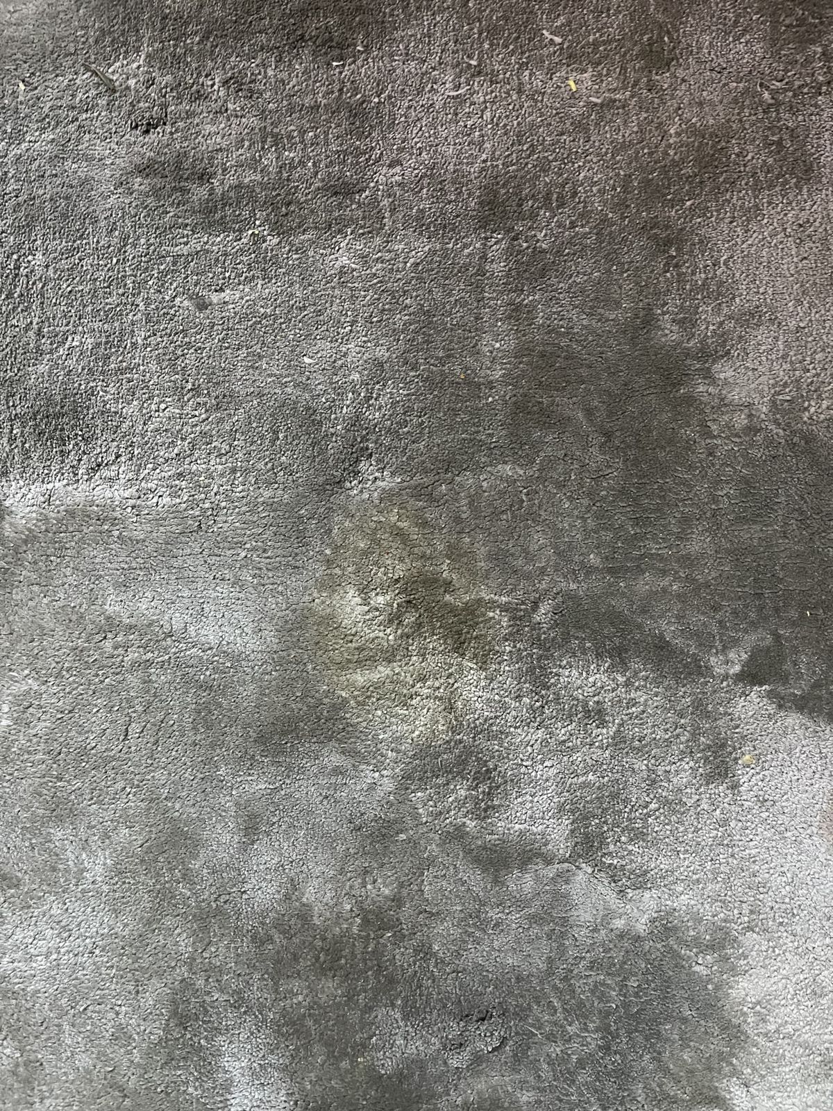 2 X Large Jacaranda Simla Handwoven Tencel Rugs photo for sale
