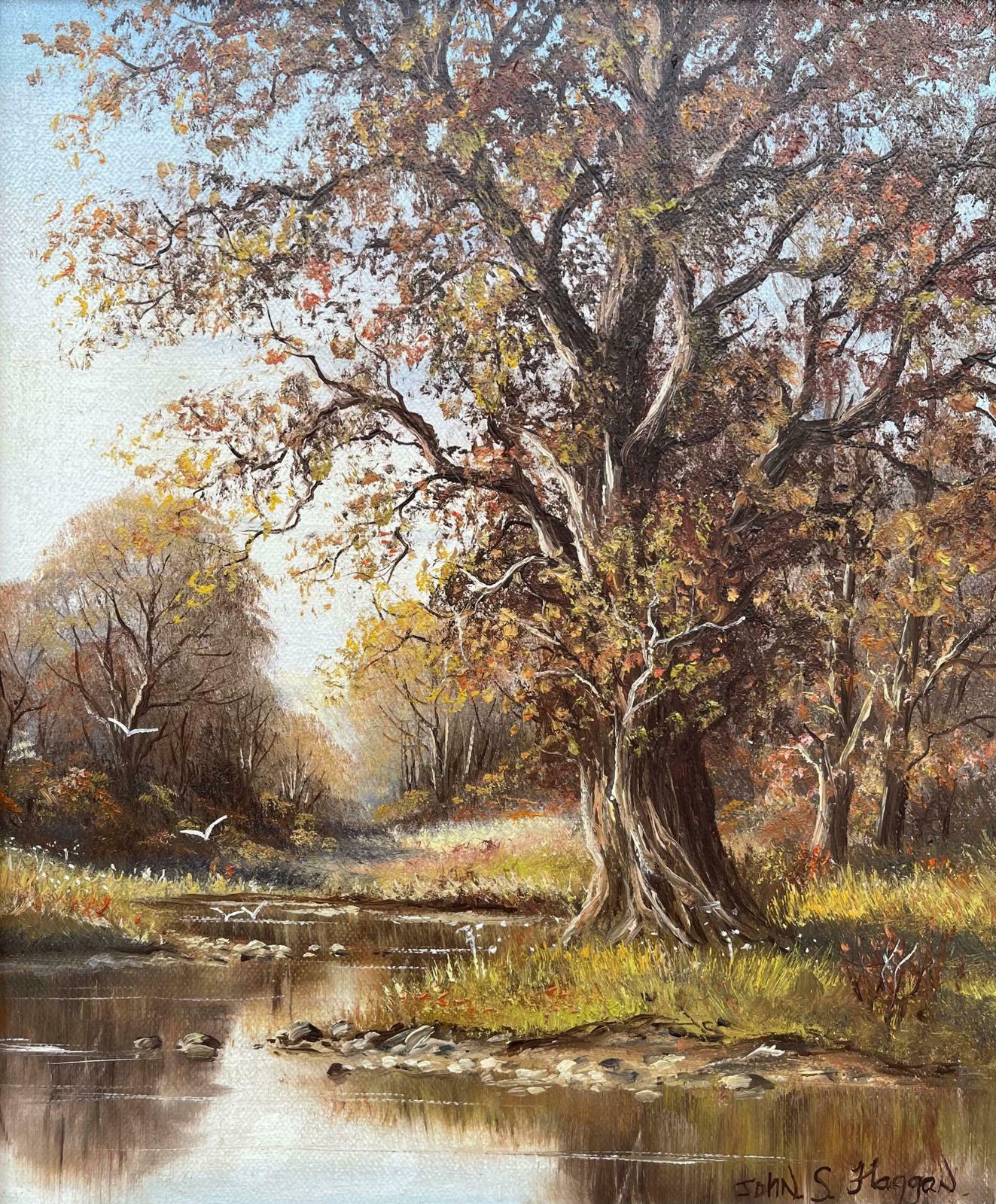 photo for sale John S Haggan Autumn Trees By River In County Tyrone By 20th Century Modern Irish Artist  1985 Circa