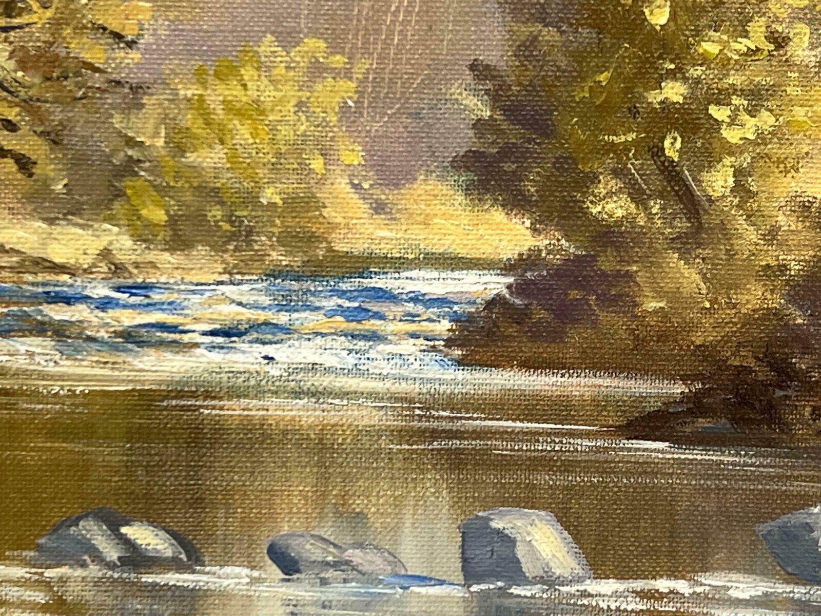 1250.0 Manson Blair Original Oil Painting Of River Landscape In Ireland By 20th Century Irish Artist 1985 Circa photo